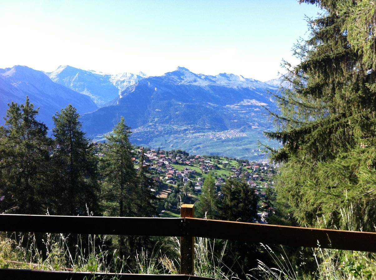 Greppon Blanc A2 Apartment Nendaz Exterior foto